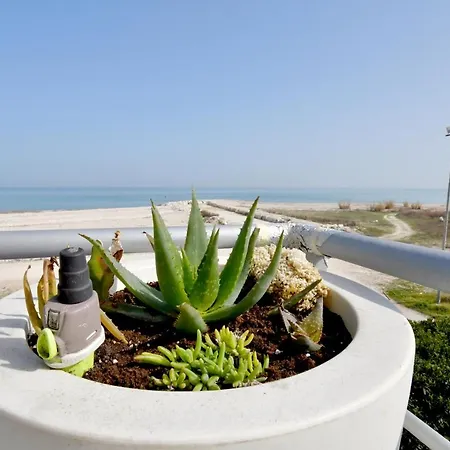 Alta Marea Apartment *