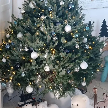 Apartmán Alta Marea