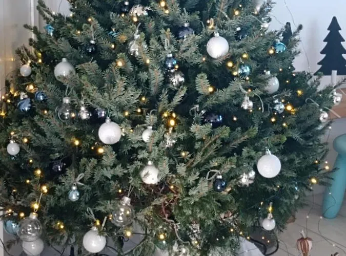 Appartement Alta Marea